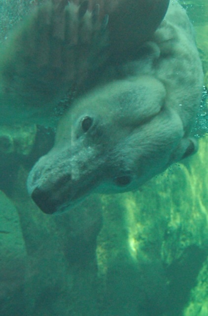 e0319302_0152880.jpg
