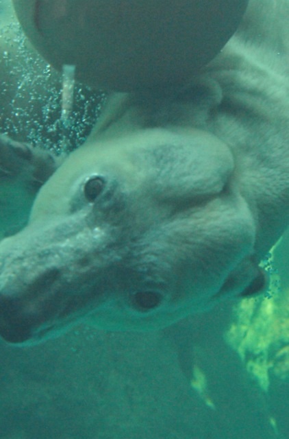 e0319302_016140.jpg