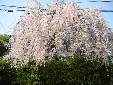 c0069903_9373956.jpg