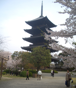 東寺美術散歩 2013.4.4_b0044404_133415100.jpg