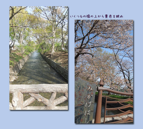 c0051105_1105495.jpg