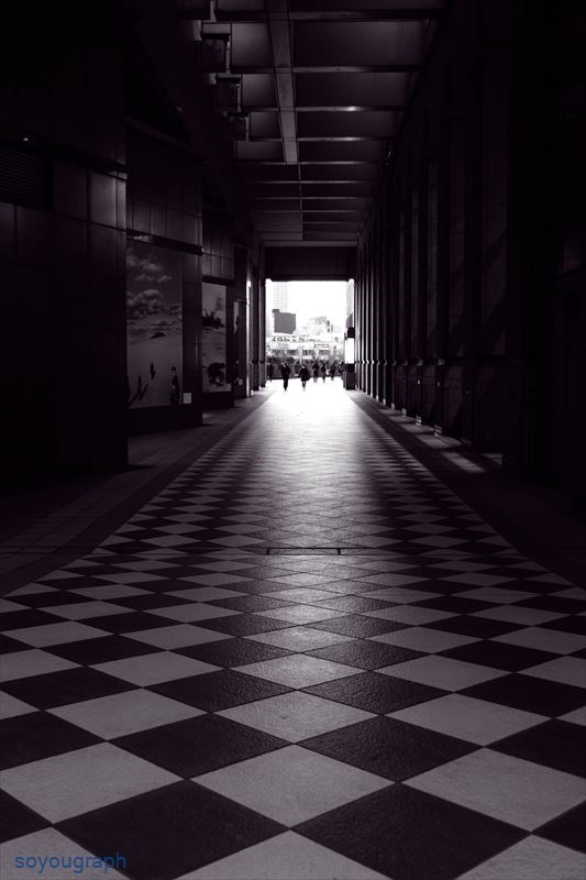 e0262305_22397.jpg