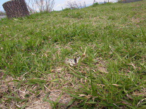 d0251807_182654.jpg