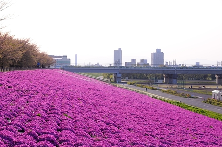 a0017909_22131473.jpg