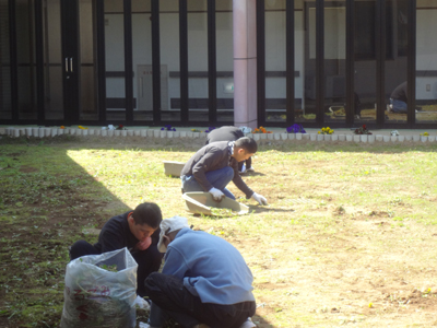 中庭の草取り!_a0154110_15385036.jpg