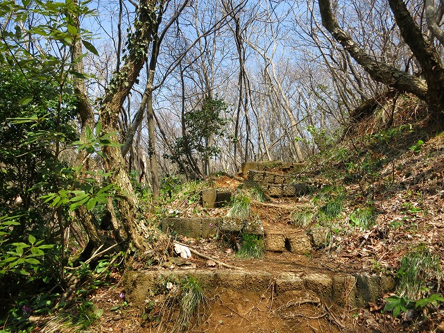 e0121110_22142341.jpg
