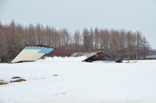 2013年4月8日（月）：ようやく積雪深0㎝！[中標津町郷土館]_e0062415_21172286.jpg