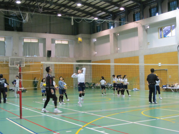 d0138226_00580.jpg
