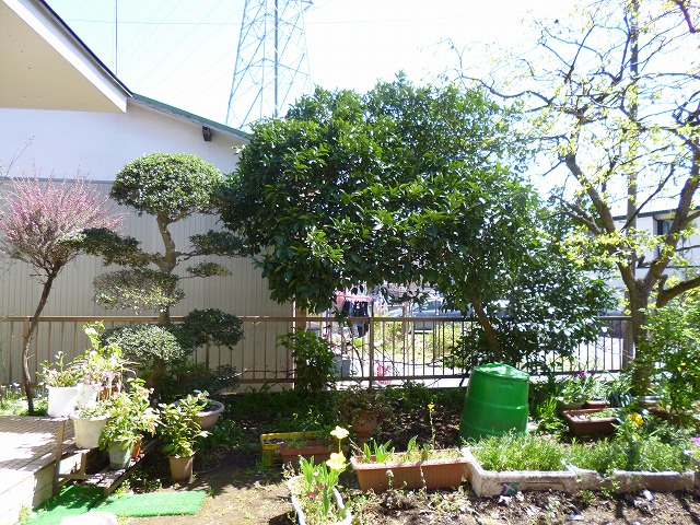 a0006033_15181936.jpg