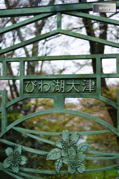 （名所）大津：琵琶湖疎水の桜_c0227134_1733722.jpg