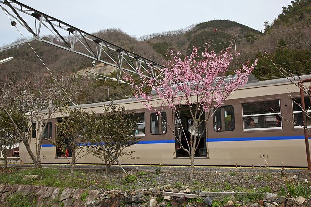 a0242438_19435068.jpg