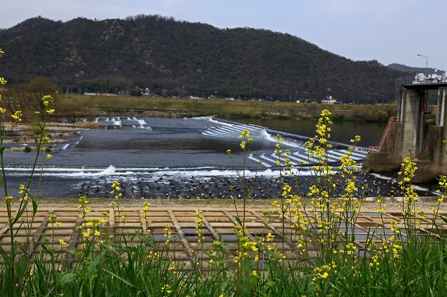 a0242438_19445739.jpg