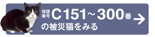 ねこひと会が保護した東日本大震災被災猫 No.C001〜150_e0316841_2048175.gif