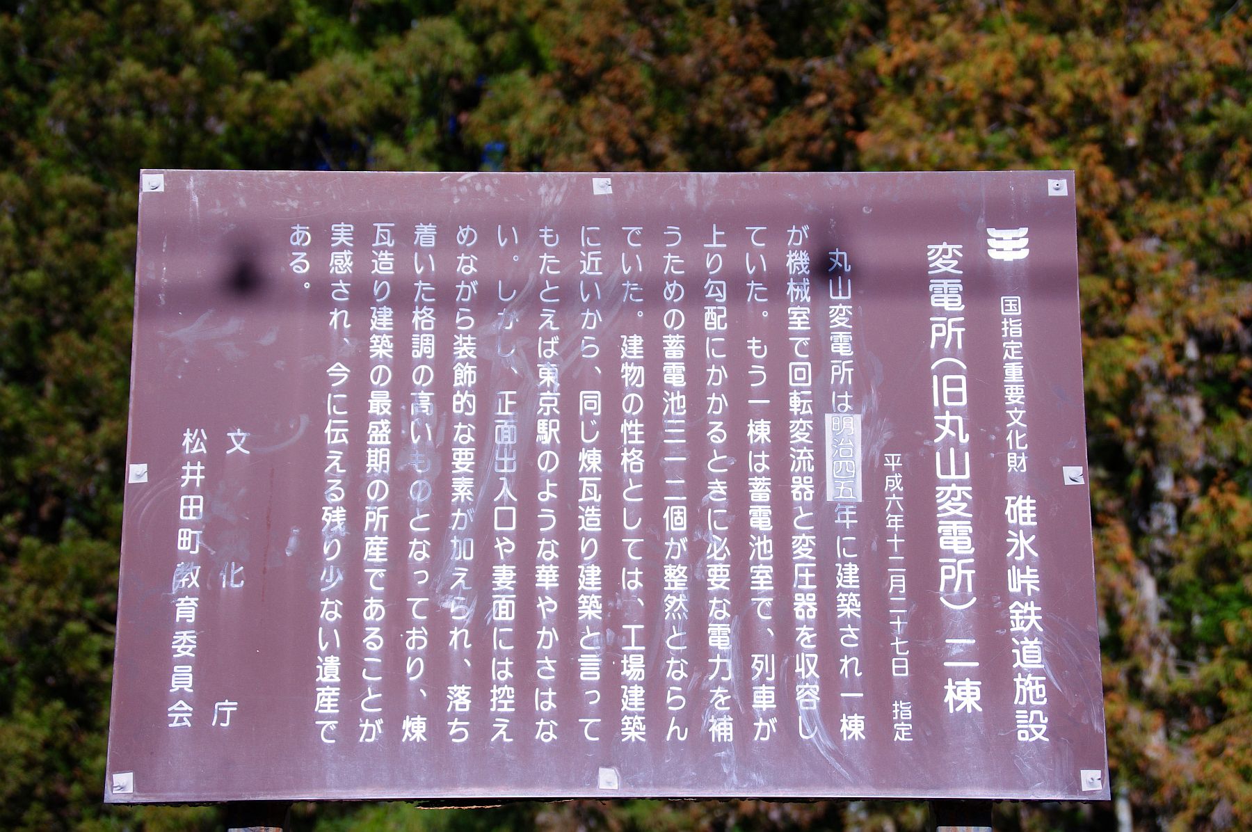 b0212342_849964.jpg
