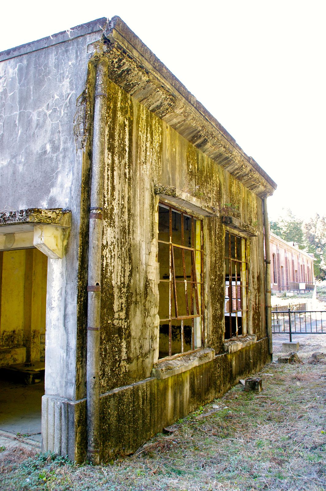 b0212342_8585891.jpg