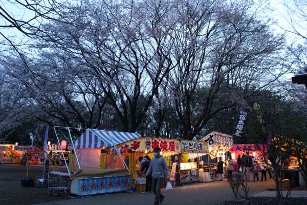 夜桜撮影会＠芳賀・かしの森公園_e0227942_22391376.jpg