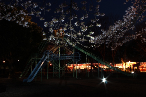 夜桜撮影会@芳賀・かしの森公園_e0227942_22421083.jpg