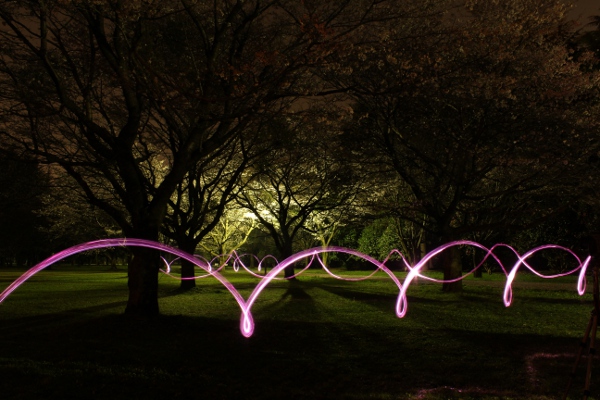 夜桜撮影会@芳賀・かしの森公園_e0227942_2361964.jpg