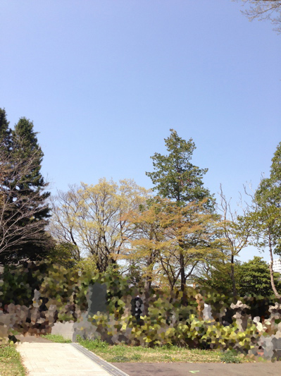 d0155148_2146673.jpg
