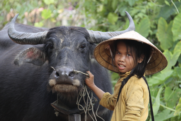 girl cattleman_c0202860_1731594.jpg