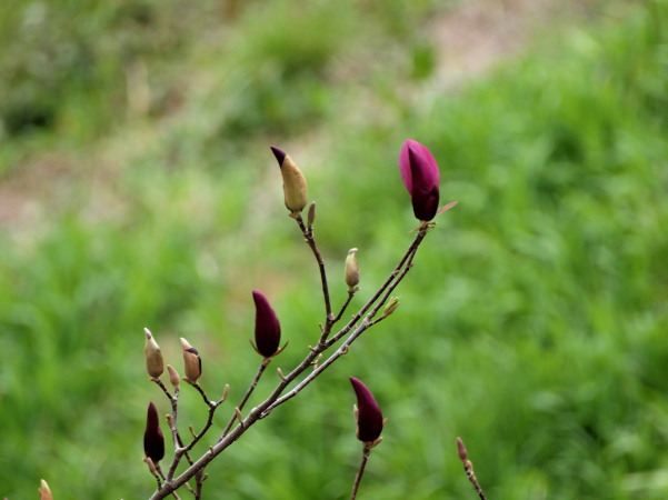 f0215964_16323081.jpg