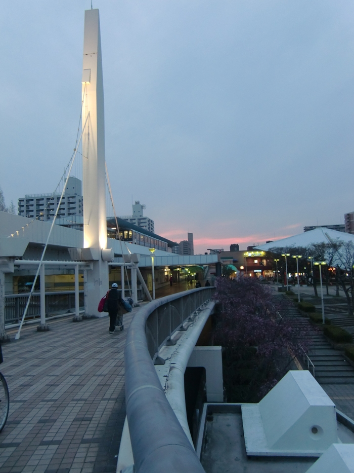 ◆ 花見 _f0238779_87211.jpg