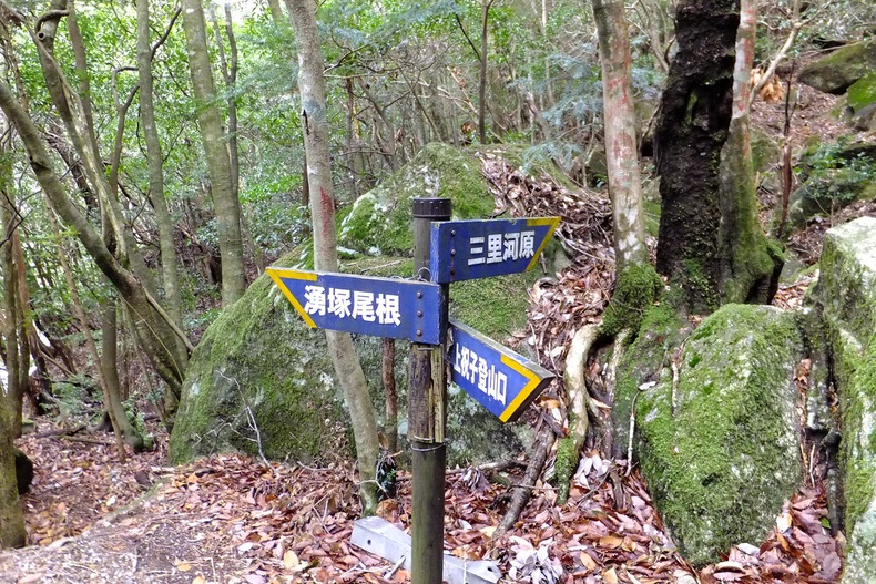 b0056282_17114058.jpg