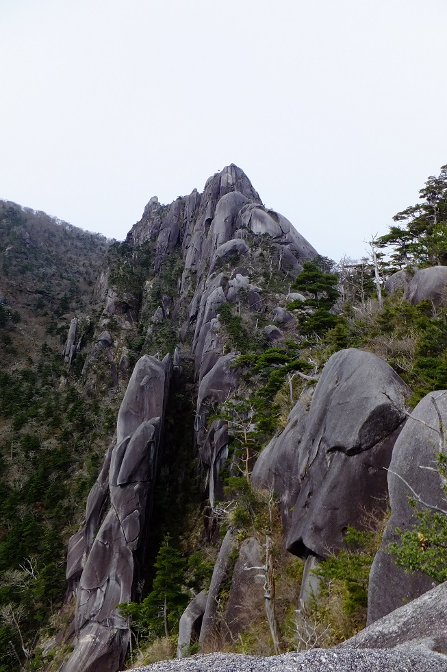 b0056282_171730100.jpg