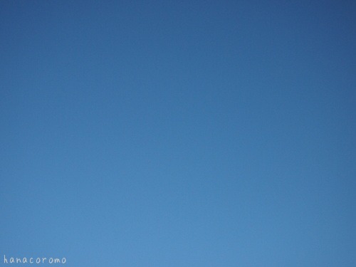 e0211786_15244869.jpg