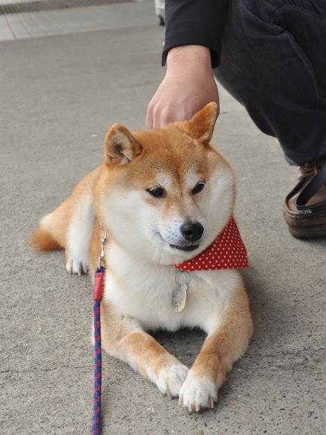 出会い_a0126590_23272236.jpg