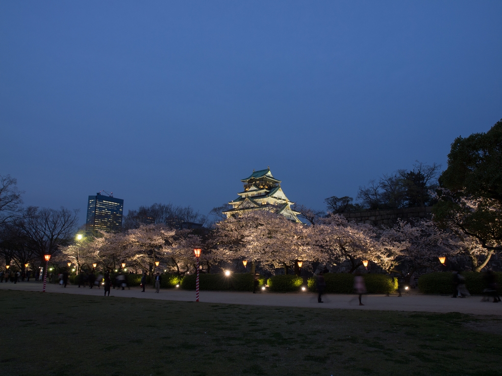 「大阪城 西の丸庭園 観桜ナイター 2013」_a0133692_17384174.jpg