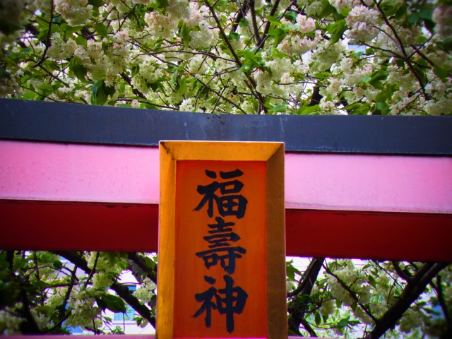 e0196993_22484473.jpg