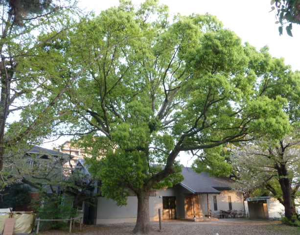 f0166694_20143749.jpg