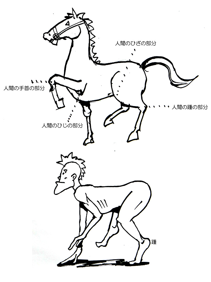 馬の描き方 骨格の比較 筆一本あれば人生は楽し イラストレーター原田伸治