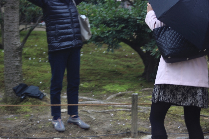 嵐の前の金沢兼六園カメラ散歩。。。。_b0138798_1623334.jpg