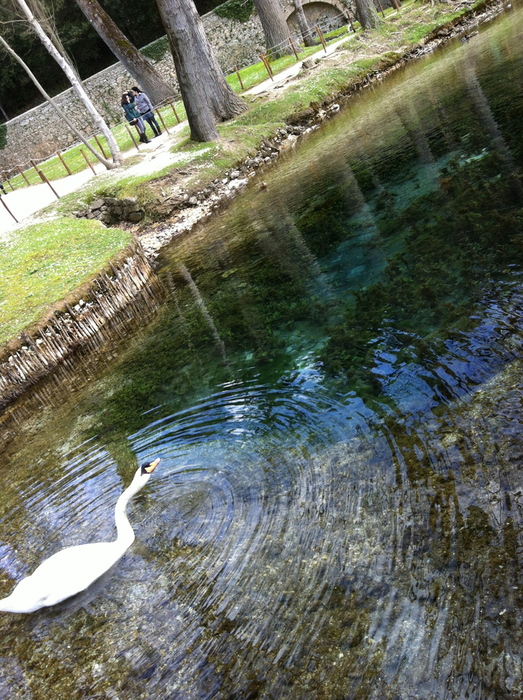 Fonti del Clitunno フォンテ デル クリトゥンノ ☆ ウンブリアの癒しの水源_b0246303_221424100.jpg