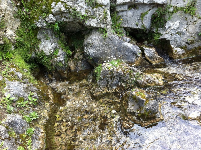 Fonti del Clitunno フォンテ デル クリトゥンノ ☆ ウンブリアの癒しの水源_b0246303_284348.jpg