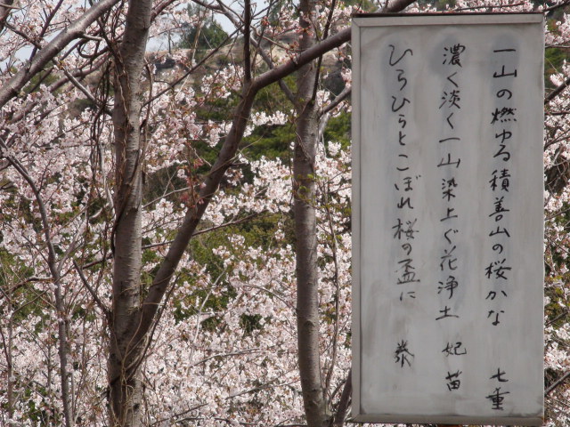 f0231709_1914137.jpg