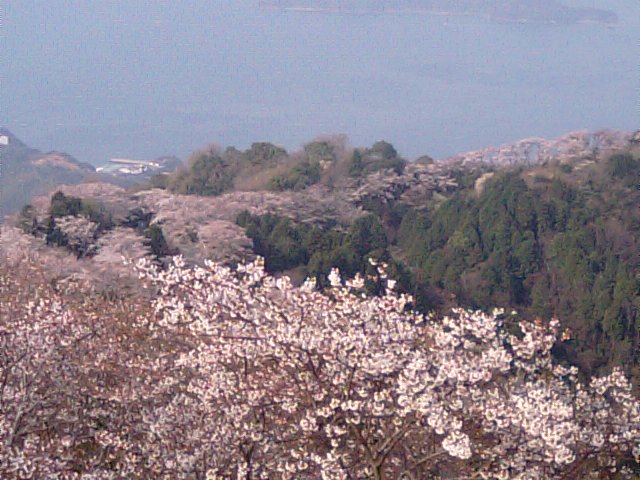 f0231709_1944072.jpg