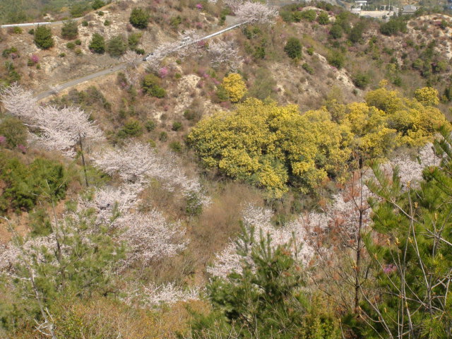 f0231709_1954086.jpg