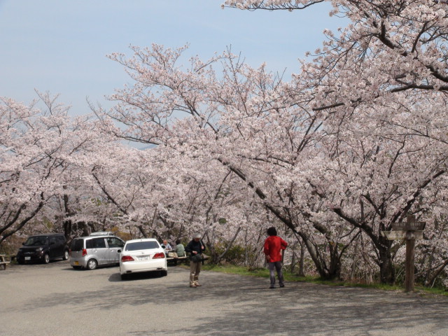 f0231709_19554.jpg