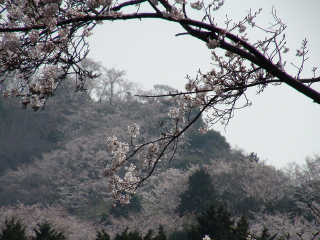 f0231709_1963741.jpg