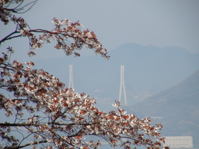 f0231709_1965910.jpg