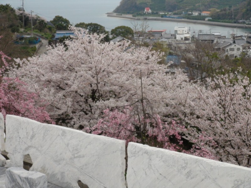 f0231709_201072.jpg