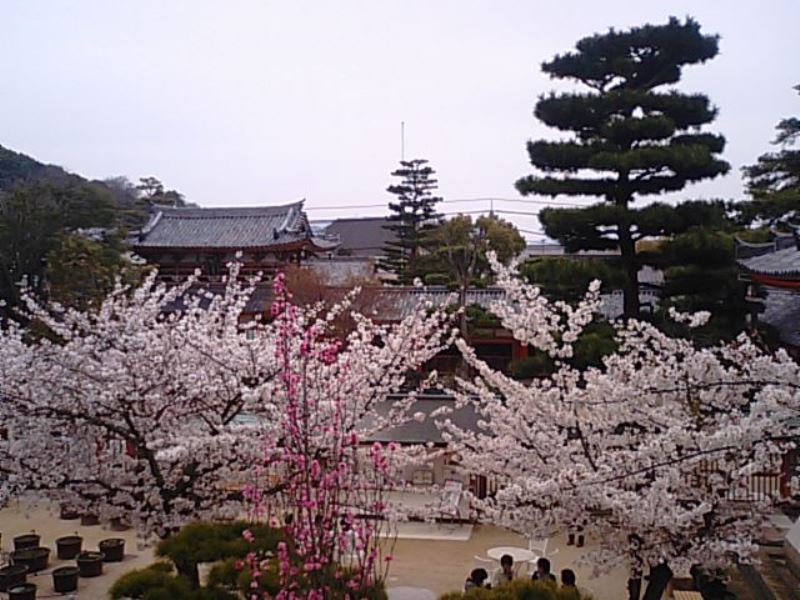 f0231709_20115724.jpg