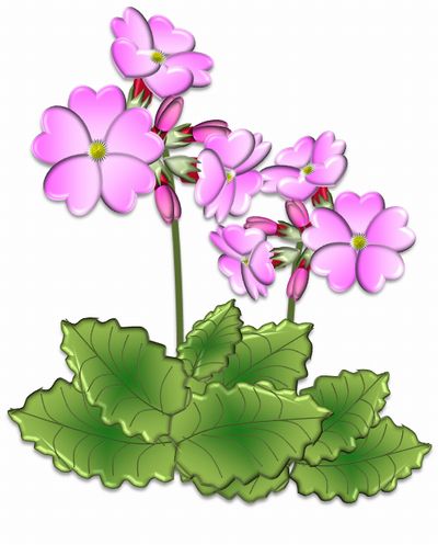 ワード絵 桜草 パソコン De あれこれ