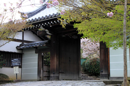 さくら満開19　龍安寺_e0048413_13351413.jpg