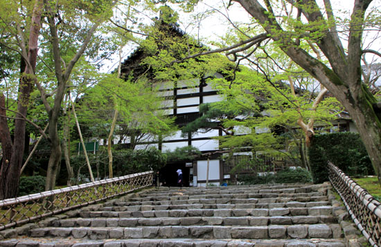 さくら満開19　龍安寺_e0048413_13352552.jpg