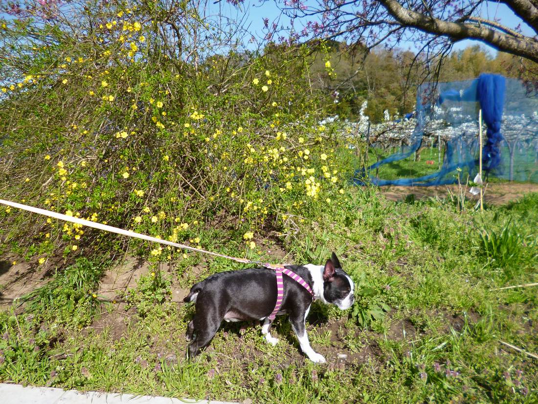 c0280416_29711.jpg