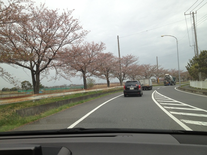 葉桜_b0150120_17304555.jpg